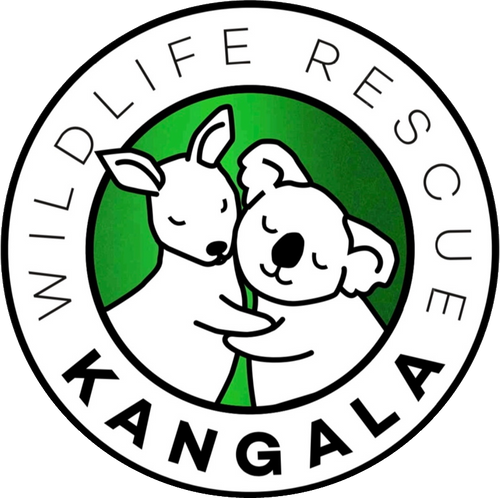 Kangala Wildlife Rescue